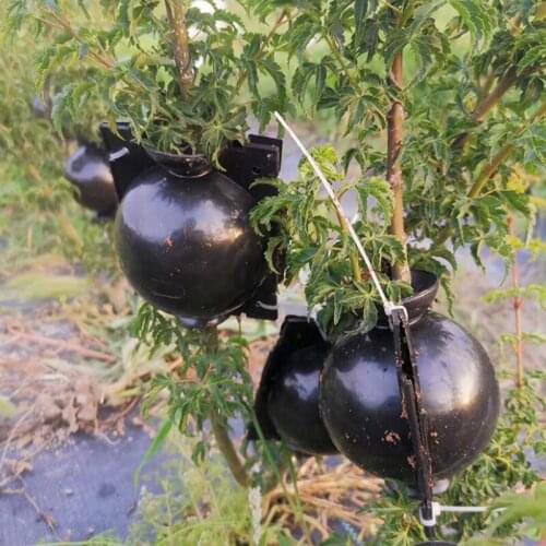 Plant Rooting Ball Grafting Rooting Growing Box Seedling Bag Breeding Case Garden Plant High Pressure Propagation Box Sapling