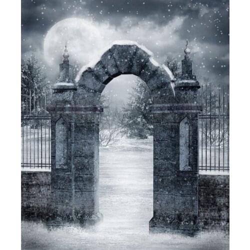 VinylBDS Black And White Backgrounds For Photo Studio Old Door Camera Fotografica Profissional With Moon Hollween Backdrop