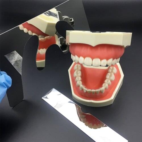 1 Set Dental Occlusal Maxillary Casting Jaw Fox Plane Autoclavable Stainless Steel Dental Jaw Fox Plate Dentist Tools