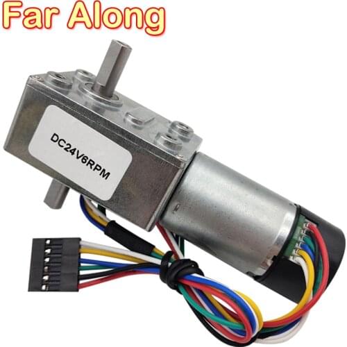 Micro DC Electric Double Shaft Worm Geared Motor 6V 12V 24V With Dual Shaft Encoder Low Speed 6-150RPM In DC Motor Self Locking