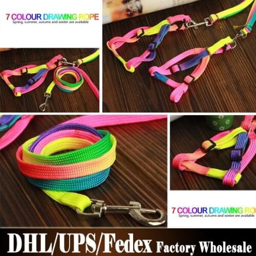 200Pcs/Lot Luck Pet Products Rainbow Colorful Nylon Dog Harness Leash