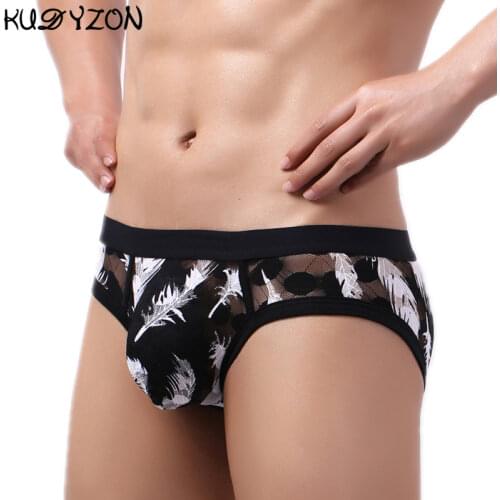 Sexy Underwear Mens Briefs Breathable Lace Underpants Penis Pouch Mesh Shorts Cueca Male Panties Slip Homme Gay Calzoncillos