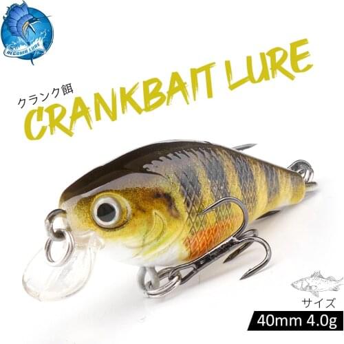 BEGONIA LURE Wobblers