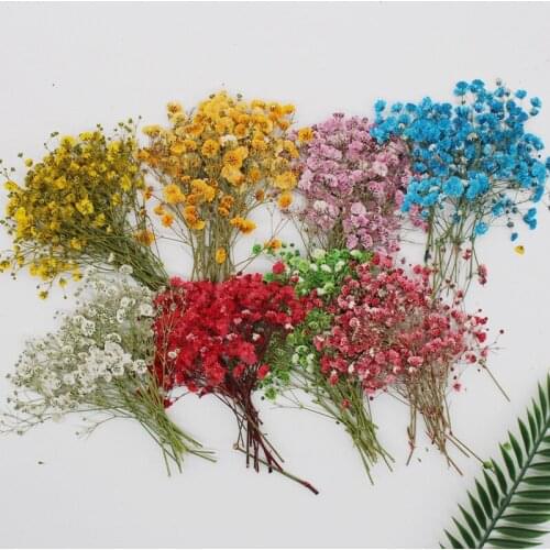 BOUSSAC Artificial Compositions