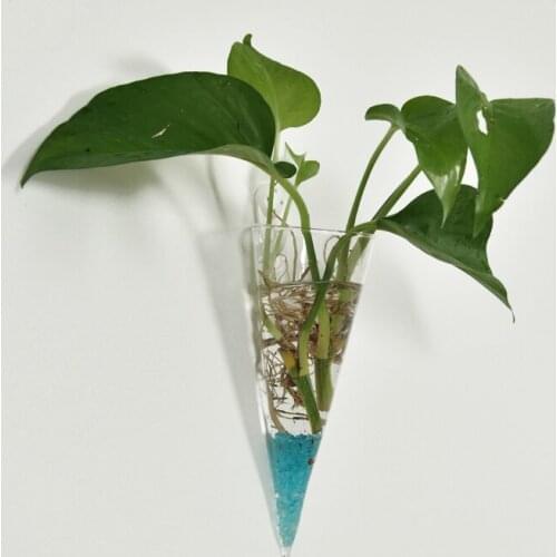 Wall ing Cone Glass Flower Planter hydroponic VaseTerrarium Container