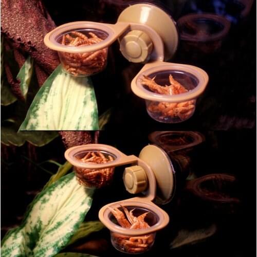 Suction Cup Reptile Water Food Feeder Wall Hanging Feeding Dish Bowl Spider Box