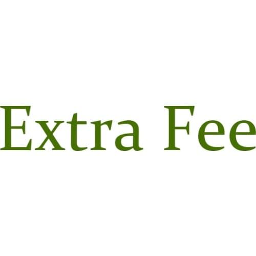 2019 Extra Fee/cost just for the balance of your order/shipping cost/ remote area fee