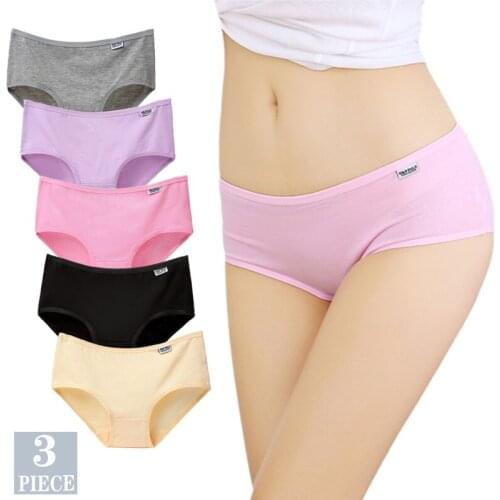 3PCS Panties for Women Girls Underwear Cotton Panties Cueca Calcinhas Sexy Lingerie Breathable Briefs Female Plus Size Pantys