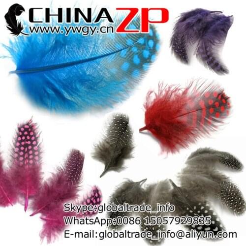 Wholesale in CHINAZP Factory 2000pcs/lot Dyed Multi Color Polka Dot Guinea Hen Plumage Feathers