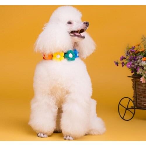 Colorful Cats Collar Flower Decoration Adjustable Skin Friendly Pet Kitten Necklace Loop for Pet Small Animals Product Supplies