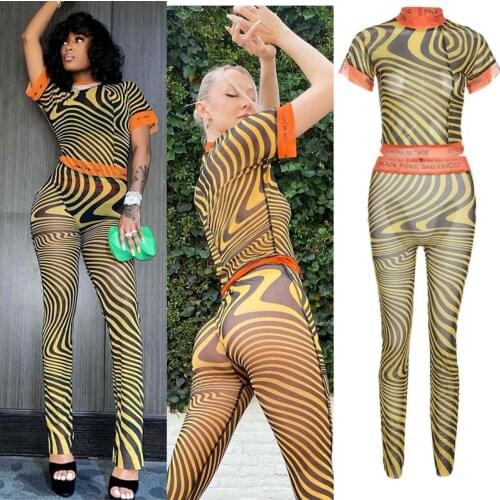 Echoine Summer Zebra Pattern Two Piece Set Women Sexy Mesh Sheer Stitching Short Sleeves Slim Top Trousers Club Party Loungewear