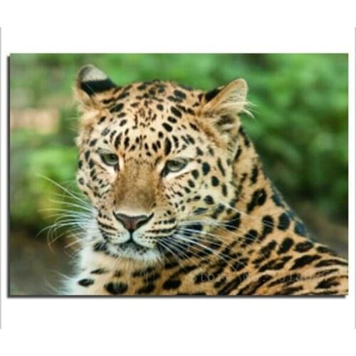 Diamond Mosaic 5D Diy Diamond Embroidery The Tired Leopard Full Diamond Painting Cross Stitch Rhinestone Home Decoration Sticker