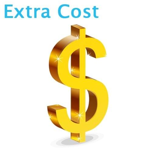 Extra cost for accessories or special shipment service, please contact us before placing the items