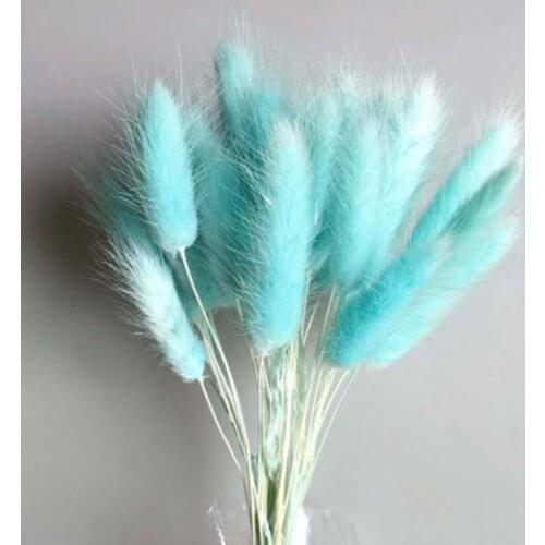 60pcs dried natural flower bouquets colorful Lagurus ovatus bouquets&Uraria picta&rabbit tail grass bouquets bunches