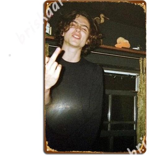 Timothée Chalamet Metal Signs Cinema Customize Club Home Wall Decor Tin sign Posters