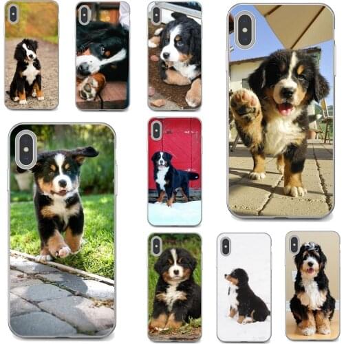 Phone Cases For Samsung Galaxy S7 S8 S9 S10E S20 FE Note 10 20 Edge Lite Plus Ultra Berner-Sennen-Dog-Bernese-Mountain