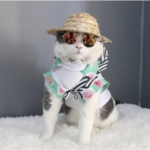 Fashion Pet Woven Straw Hat Cat Sun Hat Sombrero Beach Party Straw Costume for Accessories Small Dogs and Cats Acting cute