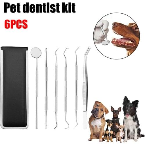 6PCS Pet Dental Tools Set Stainless Steel Professional Mouth Mirror Tweezers Scale-borer Oral Hygiene Cleaning Pet Care Kit
