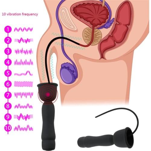 Shaking Horses Jump Egg Urethral Silicone Posterior Anal Plug Catheters Sounds Silicone Penis Plug Sounding Urethral Dilators