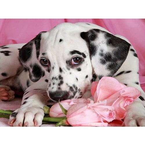 Diy 5 D Diamond Embroidery Dalmatian And Rose Painting Picture Full Square Round Rhinestone Cross Stitch Mosaic Art Decor GG5153