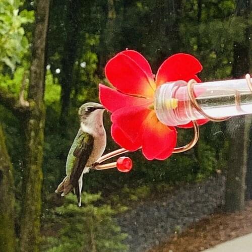Bird Feeder Sucking Disc Strong Construction Metal Shatter-resistant Easy to Carry Nectar Feeder for Garden Supplies