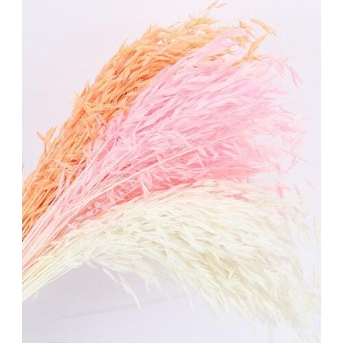 1bunch Oat Natural Dried Flowers Artificial Flower For Wedding Party Decoration DIY Craft Scrapbook Home Decor Accessories