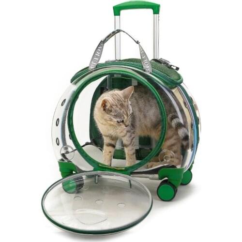 Рюкзаки переноски для кошек DBX China At AliExpress