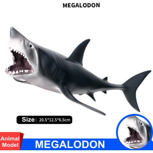 Rare Megalodon Figure Ancient Shark Whale Wild Animal Model Adult Kids Collection Science Education Toys Gift Home Decor