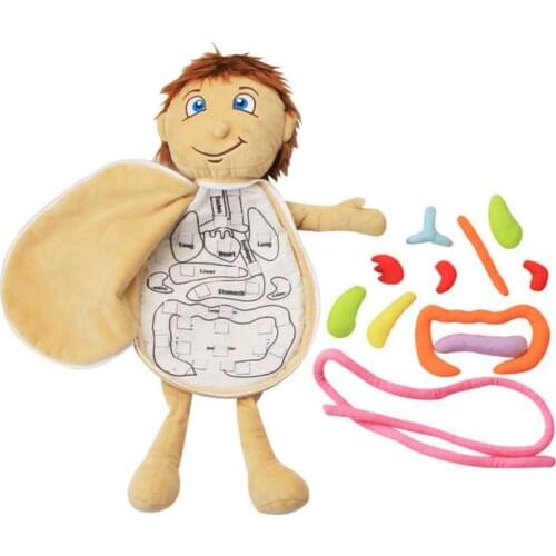 Model Anatomy Doll Educational Soft Toy Learn Human Body Organs Awareness Preschool Science Home School Teaching Aids