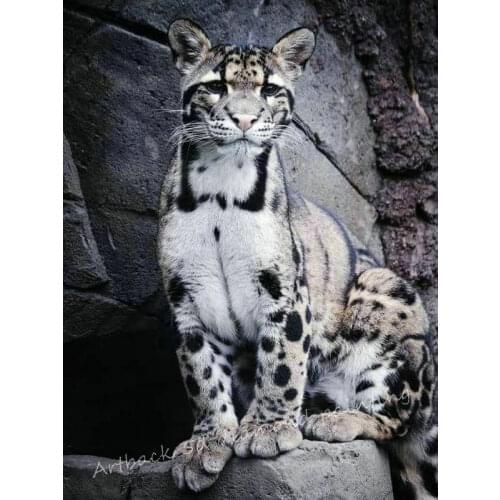 5d diy diamond painting leopard pattern full square / round drill hand embroidery 3d stick diamond embroidered gift new 2019