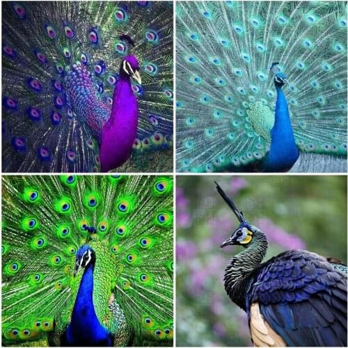5D Diy Round Diamond Painting Kit Animal Pattern Cross Stitch Peacock Mosaic Diamond Embroidery Home Decoration New Year Gift