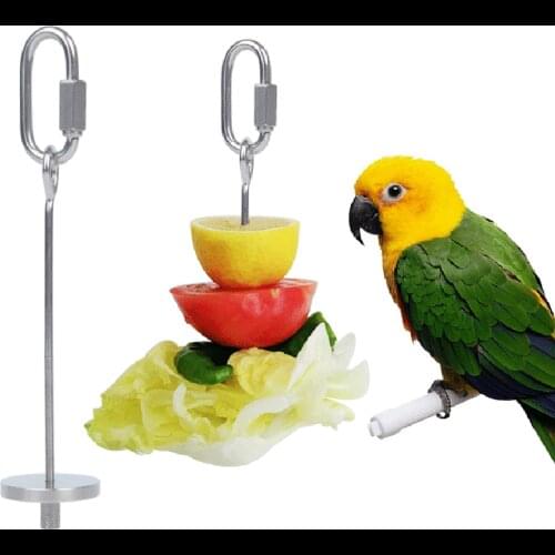 Pet Bird Parrot Hummingbird Feeder Outdoor Supplies Portable Hanging Stainless Steel Fruit Vegetables Fork Cage Accessories