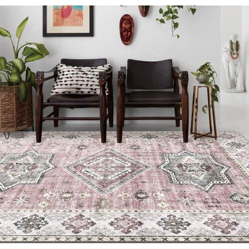 European Style Soft Carpets For Living Room Bedroom Kid Room Rugs Hot Sale Area Rugs Floor Door Mat Hotel Home Carpet Mats