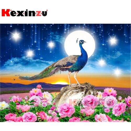 New 5D diamond painting full Square/Round diamond embroidery-Flowers peacock-rhinestone DIY mosaic Cross Stitch 3D Home Decor Y7