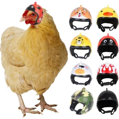 Chicken Helmet Cap Pet Protective Gear Sun Rain Protection Helmet Toy Bird Hens Small Pet Supplies Costumes Accessories