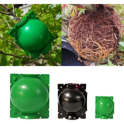 1/3/5pc Plant Rooting Ball Grafting Rooting Growing Box Breeding Seeding Case Container Nursery Box Garden Seeds Root