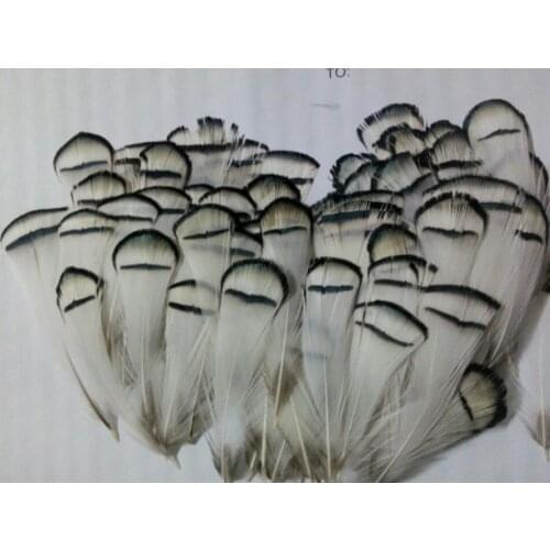 New! 20 pc natural quality blue pheasant feathers, 2.4-3.2" /6-8cm long, diy jewelry decorative accessories