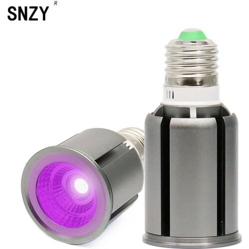 SNZY Light Bulbs