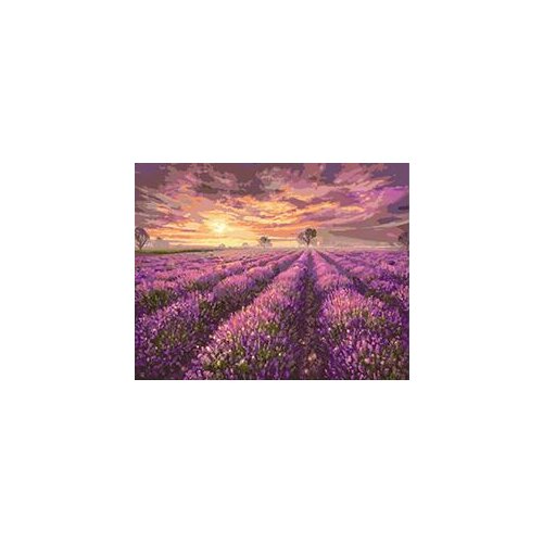 MaHuaf-X1276 Lavender Field Framed DIY Painting By Numbers Kits Modern Wall Art Picture Handpainted For Home Decor 40x50
