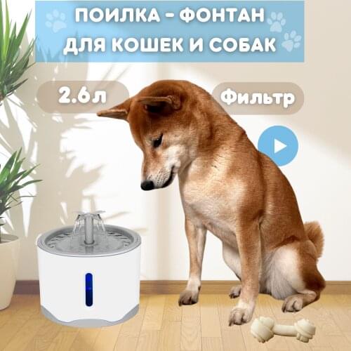 BestBox Animal Care Items