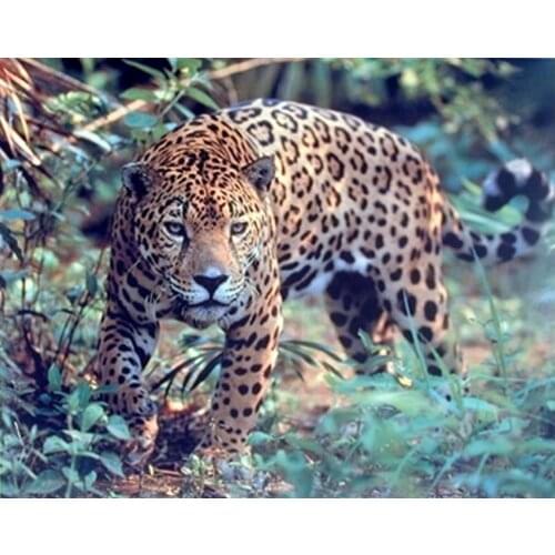 JMINE Div 5D wildlife Leopard Forest Full Diamond Painting cross stitch kits art High Quality Animal 3D paint by diamonds