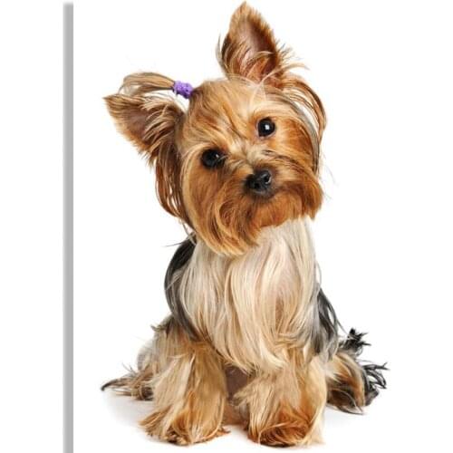 ARMYQZ Cute dog 5D Diamond Mosaic pictures Handmade Diamond Painting Cross Stitch Kits Diamond Embroidery