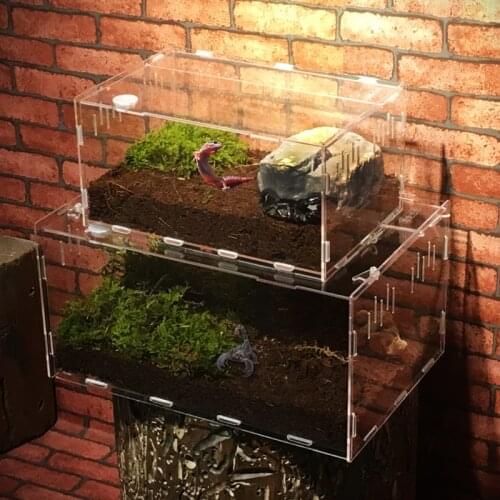 Acrylic Reptile Snake Spider Lizard Scorpion Centipede Horned Frog Gecko Beetle Insect Breeding Box