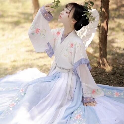 Traditional Chinese Hanfu For Women Fairy Cosplay Outfits Embroidery Folk Dance Costume Festival Clothing Princess Suit DL7121