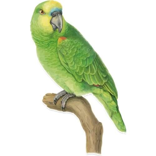 14cm*9cm Funny Decal Unique Green Parrot In PVC Colored Decor Car Sticker Personalized High Quality