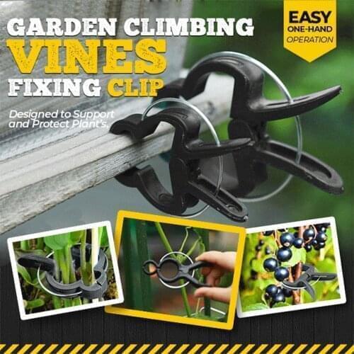 Garden Climbing Vines Fixing Clip Plant climbing wall Self-Adhesive Fastener Tied fixture Vine Buckle Hook Garden plant wall cli