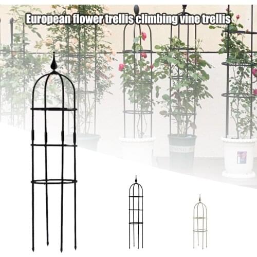 Plant Vines Climbing Stand Metal Flowerpot Bracket Lotus Rose Support Pole for Indoor Decoration B1