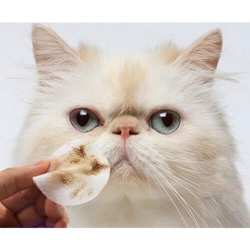 Pet Go To Tears Eye Wet Wipes Dog Cat Bichon Samoyed Aloe Not Irritating Pet Cleaning And Grooming Supplies