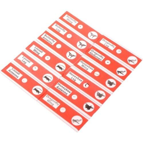 48 Pcs Prepared Microscope Slides Specimen Animals Insects Plants Flowers Sample 203C