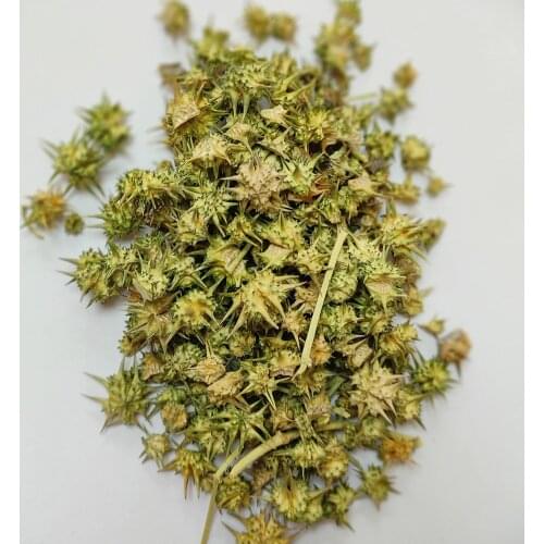 Tribulus terrestris -50 gr-400 gr Free Shipping
